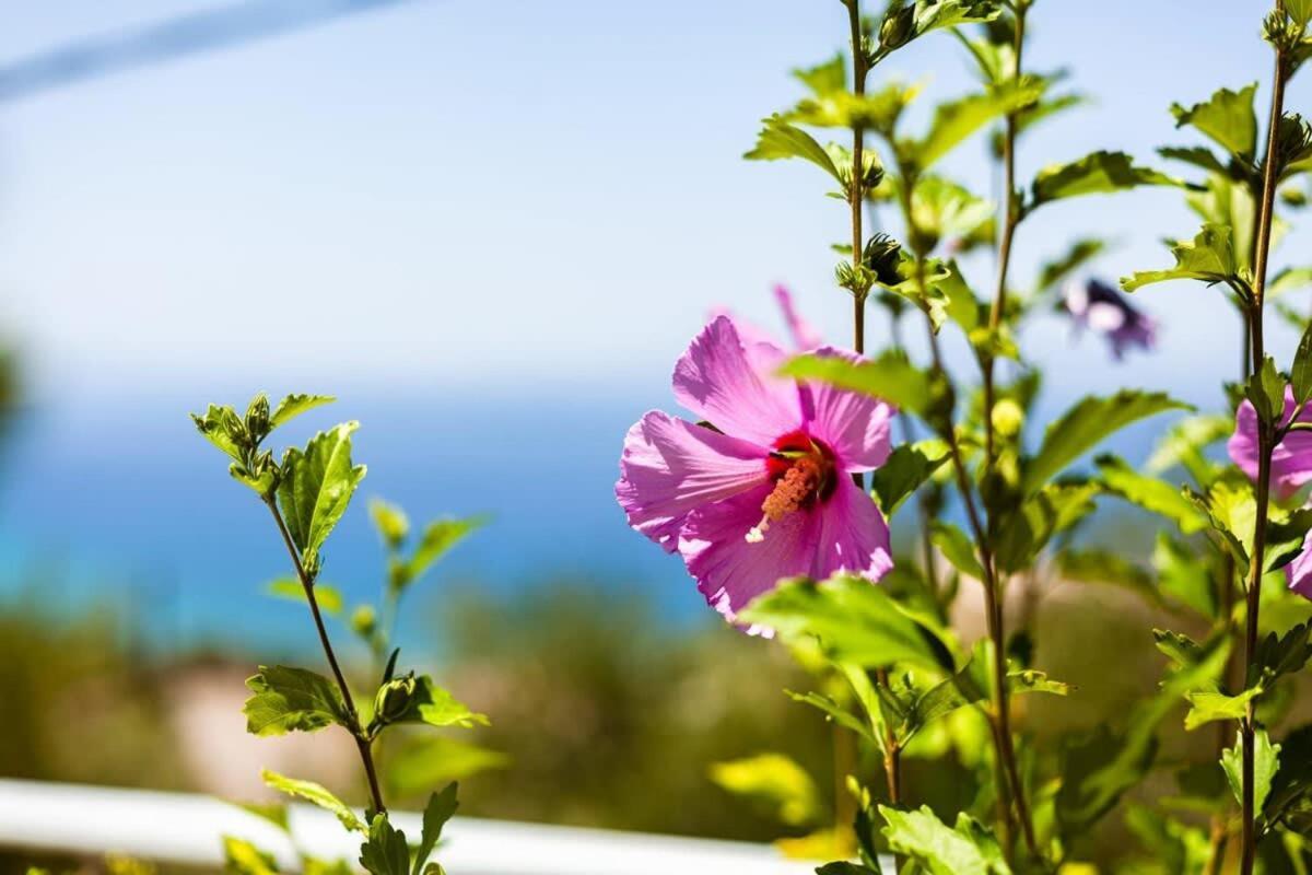 Aigli Summer Getaway - Seaview Lux Retreat Verga Dış mekan fotoğraf